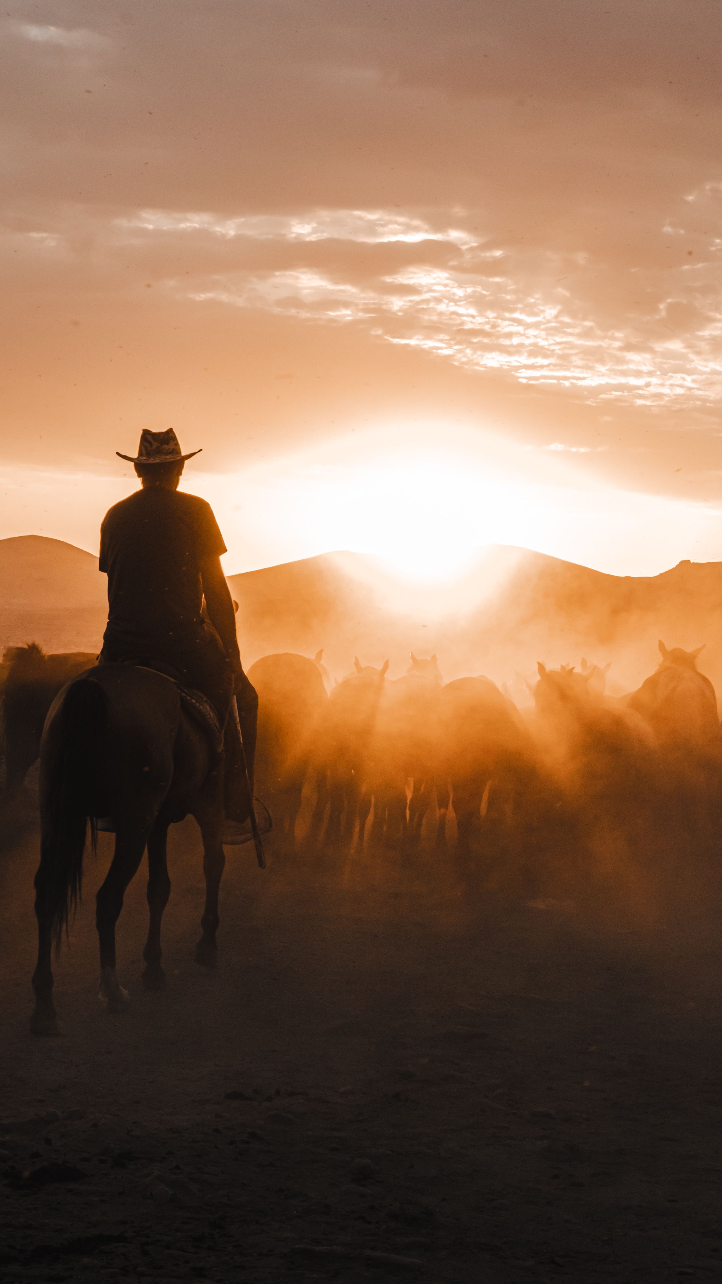 A rider driving a herd through golden dust at sunset